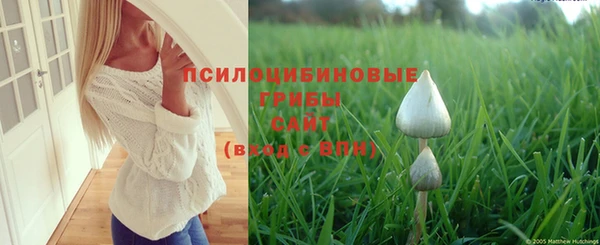 стафф Алексин