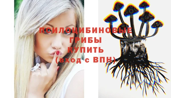 стафф Алексин
