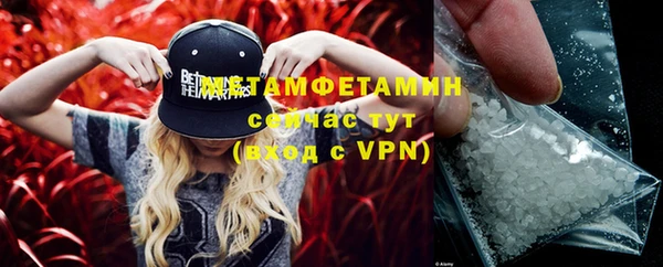 сатива Болотное