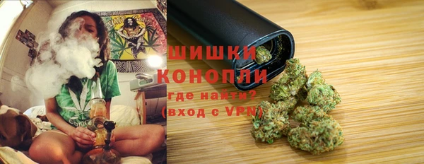 ГАЛЛЮЦИНОГЕННЫЕ ГРИБЫ Алексеевка