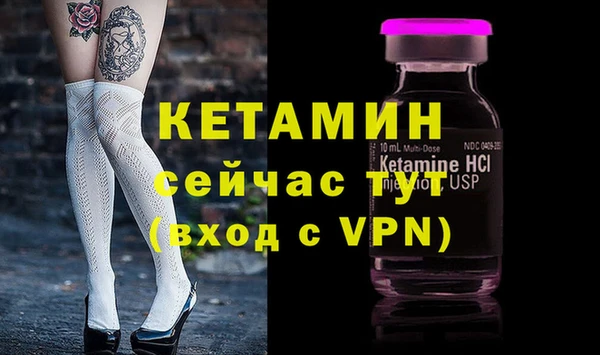 стафф Алексин