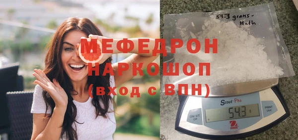 стафф Алексин